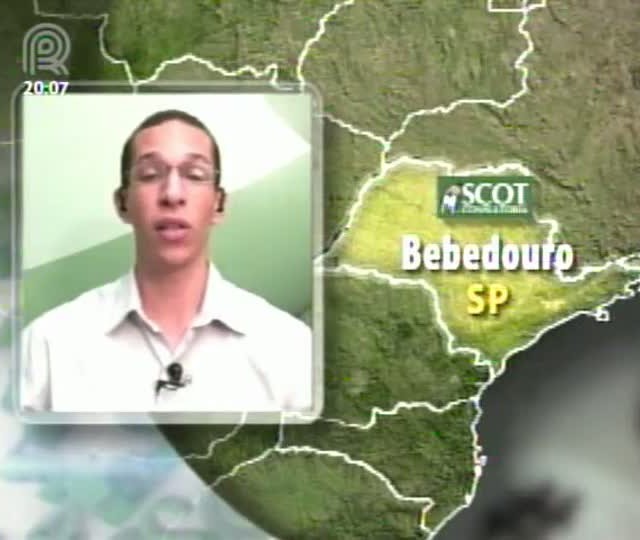 Saiba mais sobre o preço da arroba nos últimos meses