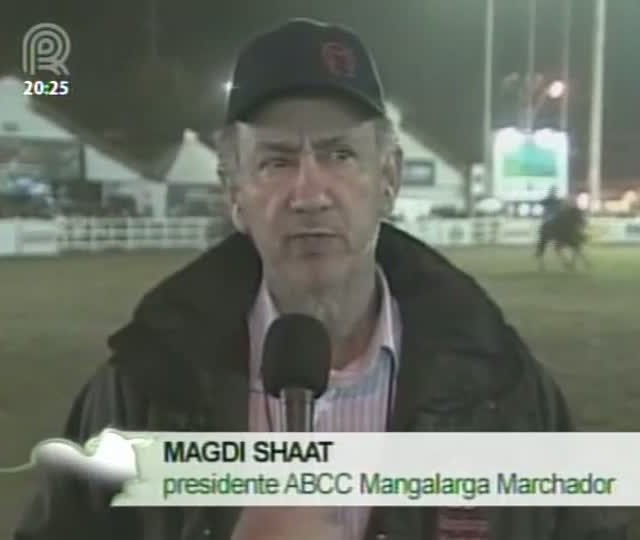 Conheça a Exposição Nacional do mangalarga marchador