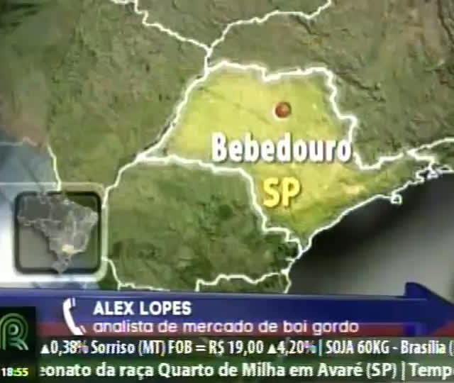 Veja as tendências do mercado do boi gordo