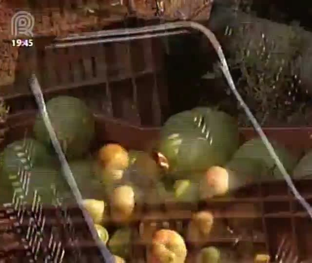 Tomate está em alta em São Paulo