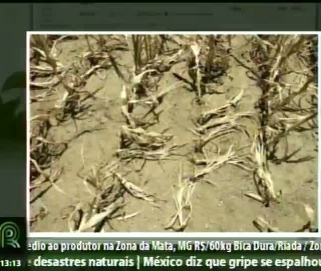 Produtores devem aproveitar o bom cenário de preços