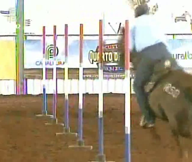 Prova das seis balizas tem categoria feminina no Campeonato Nacional da raça quarto de milha