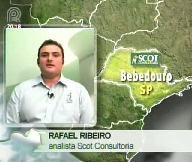 Analista comenta alta nos preços dos grãos