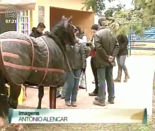 Circuito Quarto de Milha tem clínica para atender os animais