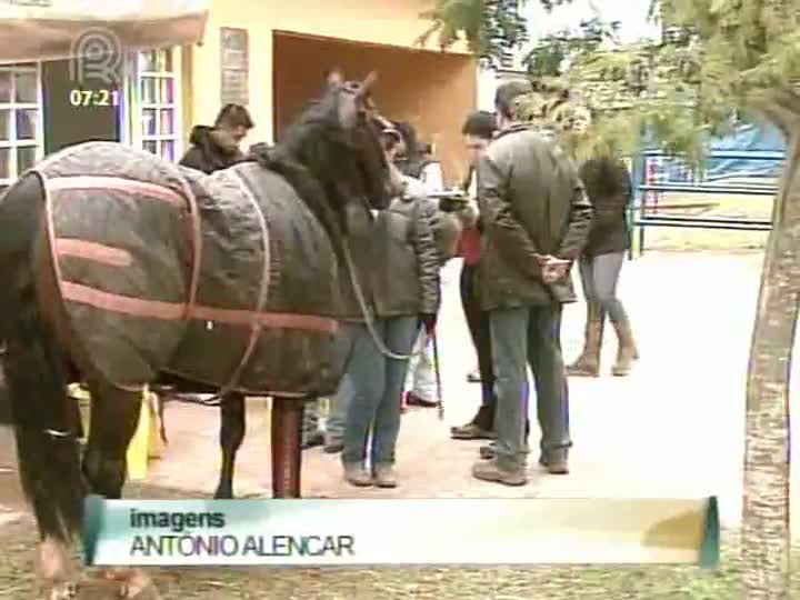 Circuito Quarto de Milha tem clínica para atender os animais