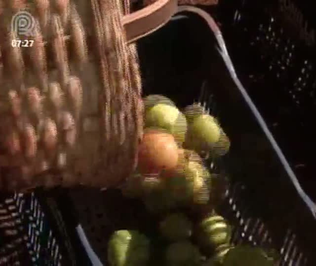 Frio e chuva impulsionam alta do tomate em São Paulo