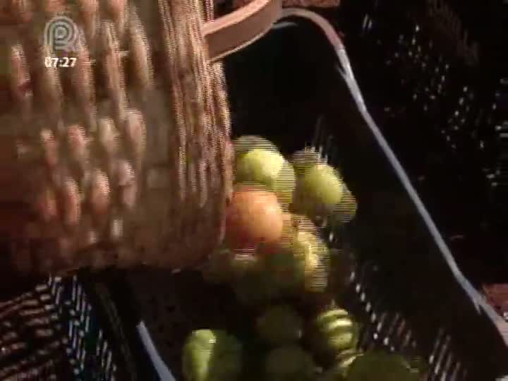 Frio e chuva impulsionam alta do tomate em São Paulo