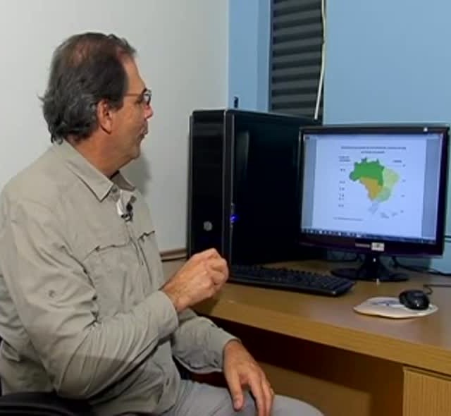 Momento Soja – Confira a nova classificação de ciclos de cultivares