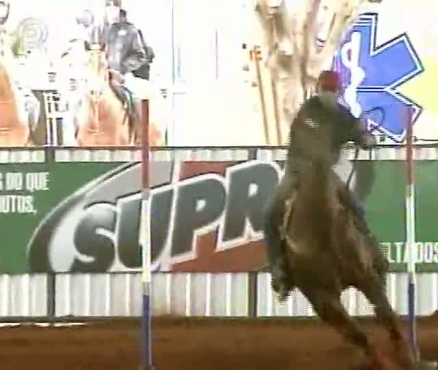 Começam as provas do 35º Campeonato Nacional da Raça Quarto de Milha