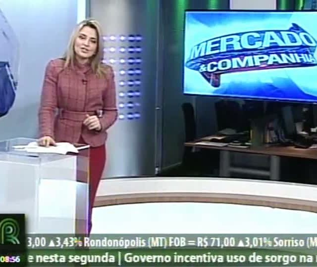 Estréia hoje o projeto Soja Brasil