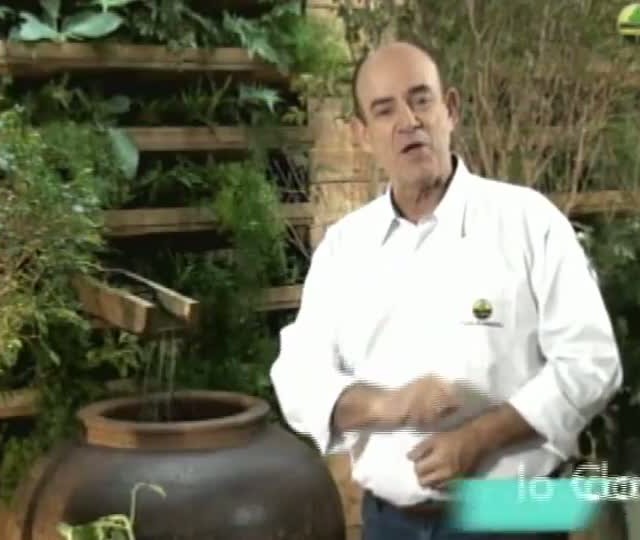 Programa mostra como cidades aumentaram orçamento graças à produção de madeira