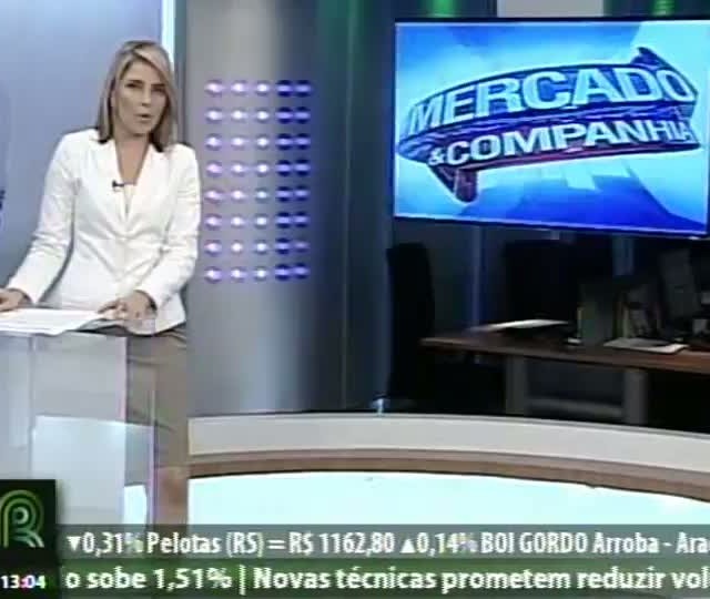 Saiba mais sobre o mercado do milho