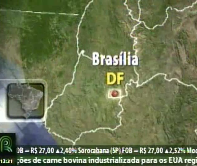 Medidas de apoio à suinocultura não são suficientes