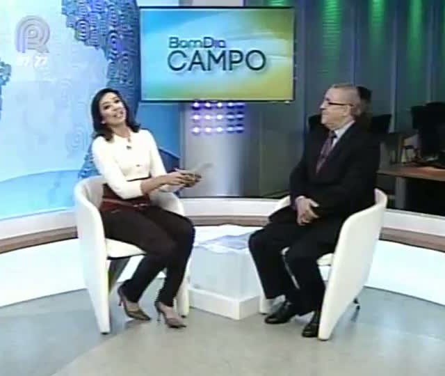 Renato Barco fala do crescimento no movimento de cargas no porto de Santos (SP)