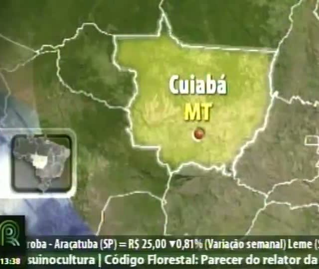 Estados Unidos podem importar milho brasileiro
