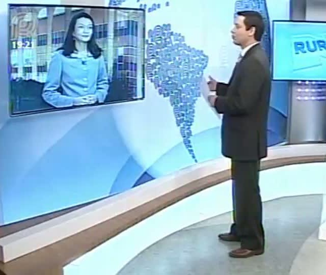 Suinocultores criticam medidas do Governo