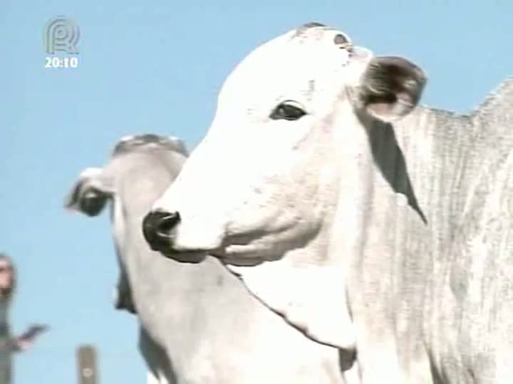 Veja programas que garantem qualidade para o consumidor