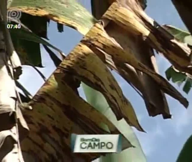 Município de Vale do Ribeira (SP) deve sofrer com as chuvas de inverno