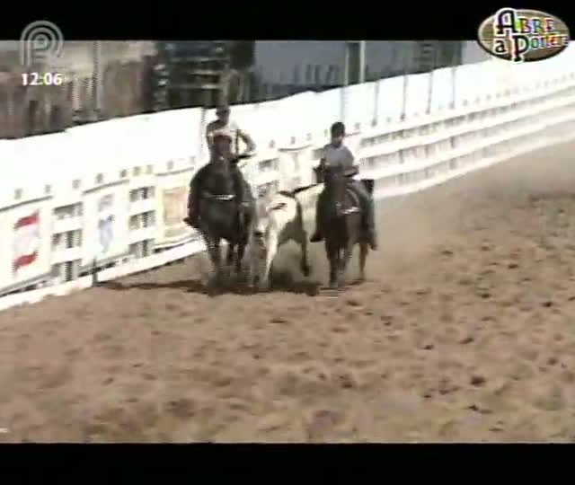 Abre a Porteira mostra terceira etapa do campeonato pernambucano de vaquejada