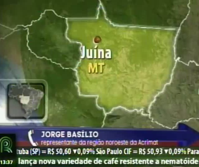 Pecuaristas de Juína (MT) estão sem opção de venda