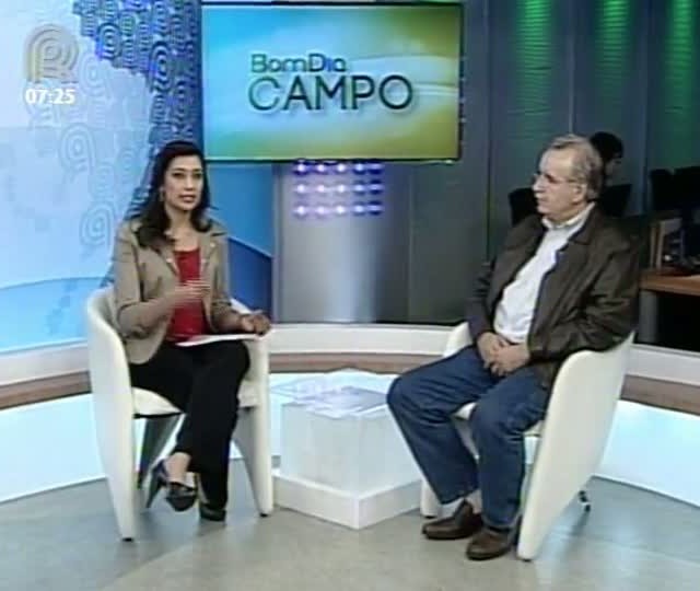 Saiba como evitar o mofo branco nas plantações