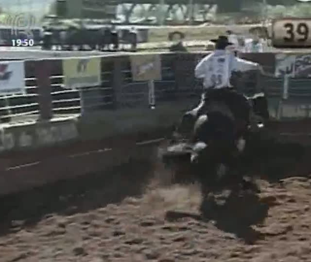 Definidos mais oito finalistas do Freio de Ouro