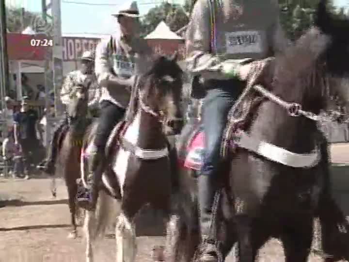 Exposição Mangalarga Marchador atrai compradores estrangeiros