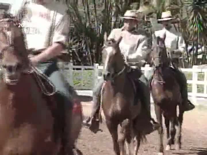 Exposição Nacional do mangalarga marchador tem a pista mais disputada