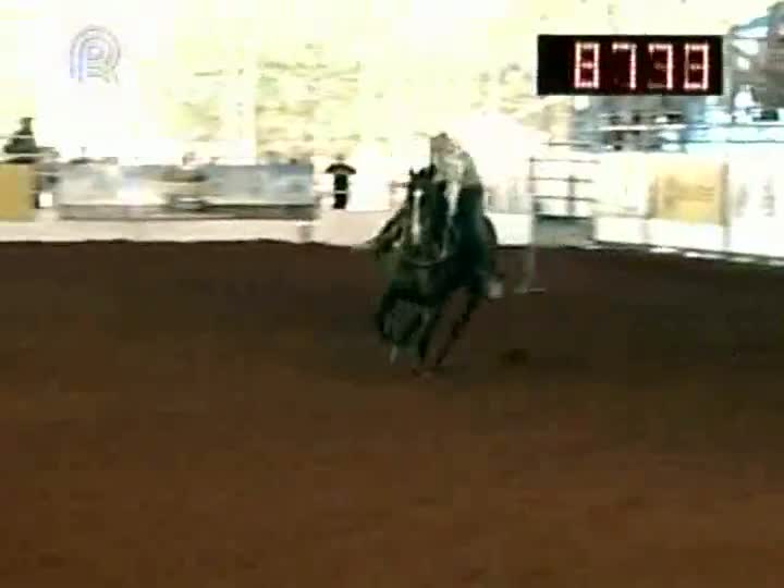 Veja mais sobre a final da prova dos três tambores do Campeonato Nacional da raça quarto de milha