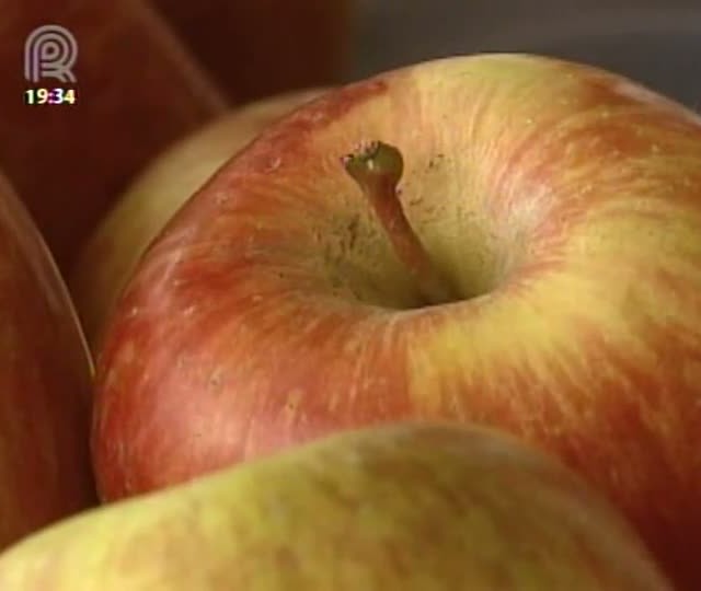 Maçã fuji conquista o mercado brasileiro