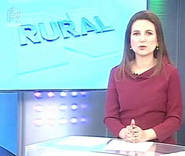 Setor sucroenergético pode se beneficiar do aumento na mistura do etanol anidro na gasolina