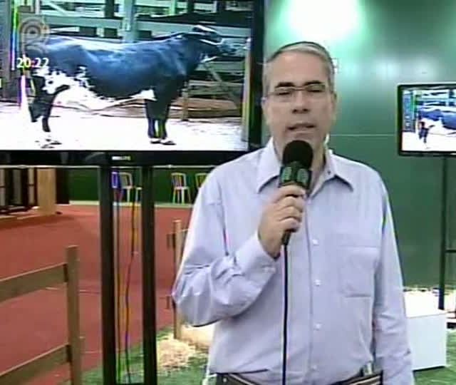 Confira os destaques da Feicorte nesta sexta