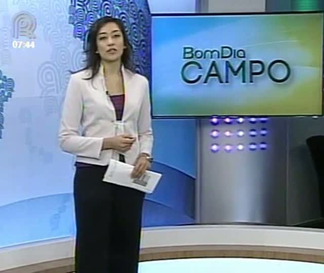 Repórter Marcelo Lara mostra as boas perspectivas do mercado de alho