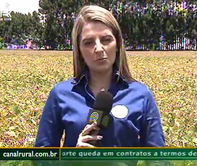 Agrônomo explica relevância do vazio sanitário