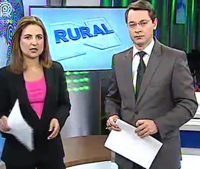 Soja do Paraná sofre queda de produtividade Soja do Paraná sofre queda de produtividade