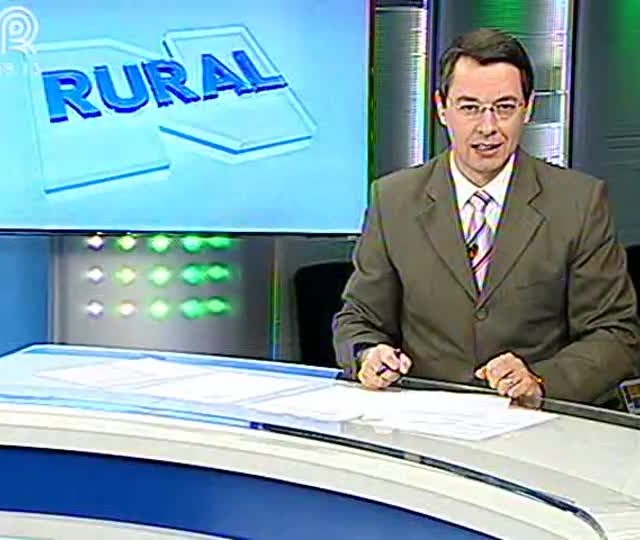 Pedro Dejneka analisa mercado de soja e milho