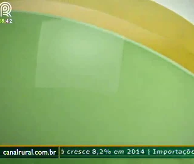 Aprosoja-TO emergência fitossanitária para controle da falsa medideira