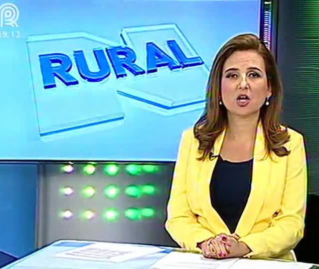 Produtores de Tocantins pedem emergência fitossanitária contra falsa medideira