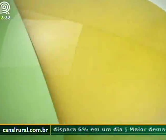 Áreas irrigadas no sul de Tocantins garantem boa produtividade
