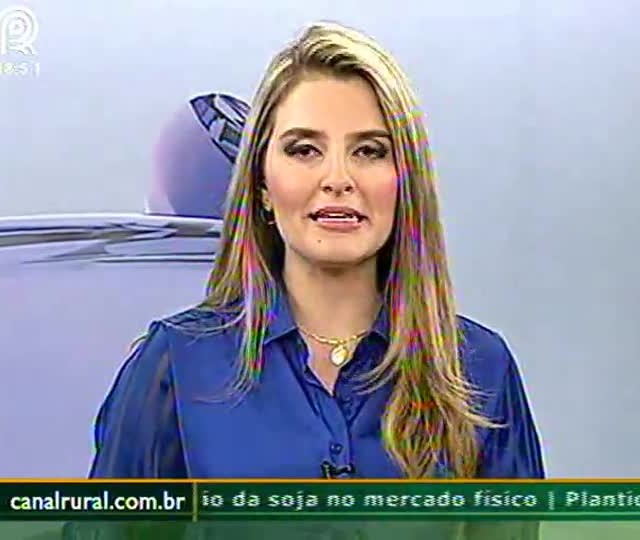 Novas áreas de soja exigem cuidados com o solo