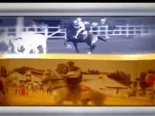 Saiba como descobrir a idade do cavalo pelos dentes