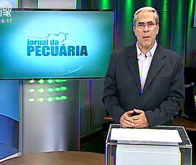 Relação de troca entre bezerro e boi gordo é a maior desde 2010