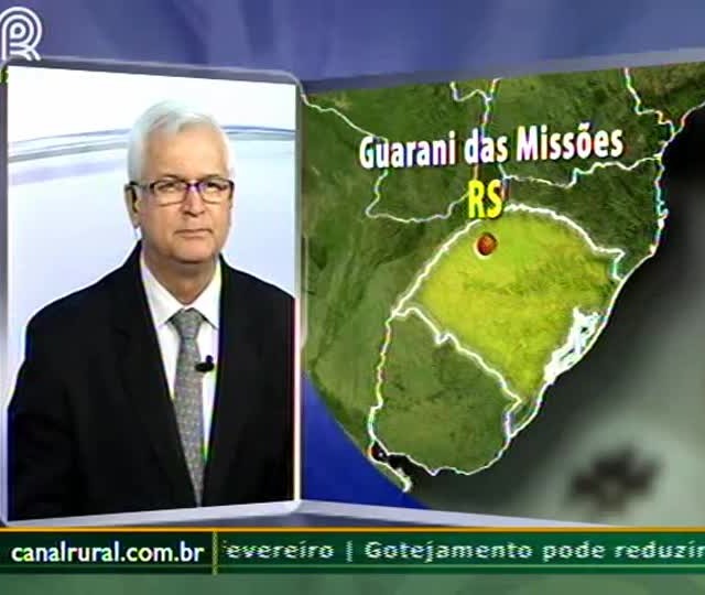 Crise do leite gera protesto no Rio Grande do Sul