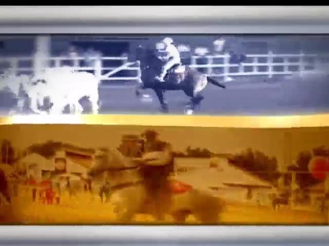 Haras guarda a história do marchador em um casarão centenário