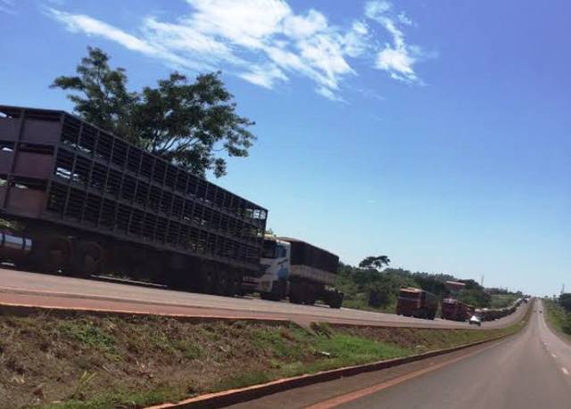 Protesto de caminhoneiros afeta comércio de carnes, diz a ABPA