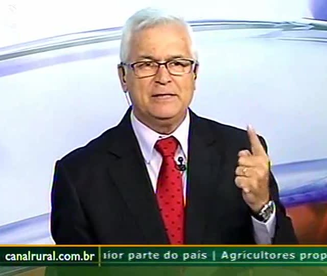 Falta de mercadoria favorece pecuária no Centro-Oeste brasileiro