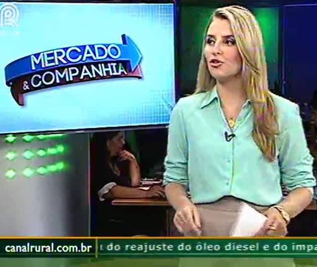 Paralisação de caminhoneiros pode reduzir prêmios de exportação de soja