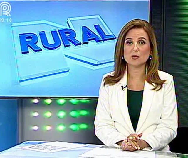 Mercado está atento ao próximo relatório do USDA