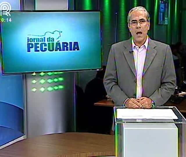 Cotações do suíno vivo tem primeira alta do ano