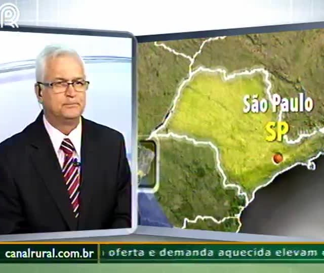 Carnes: Manifestação dos caminhoneiros afeta mercado